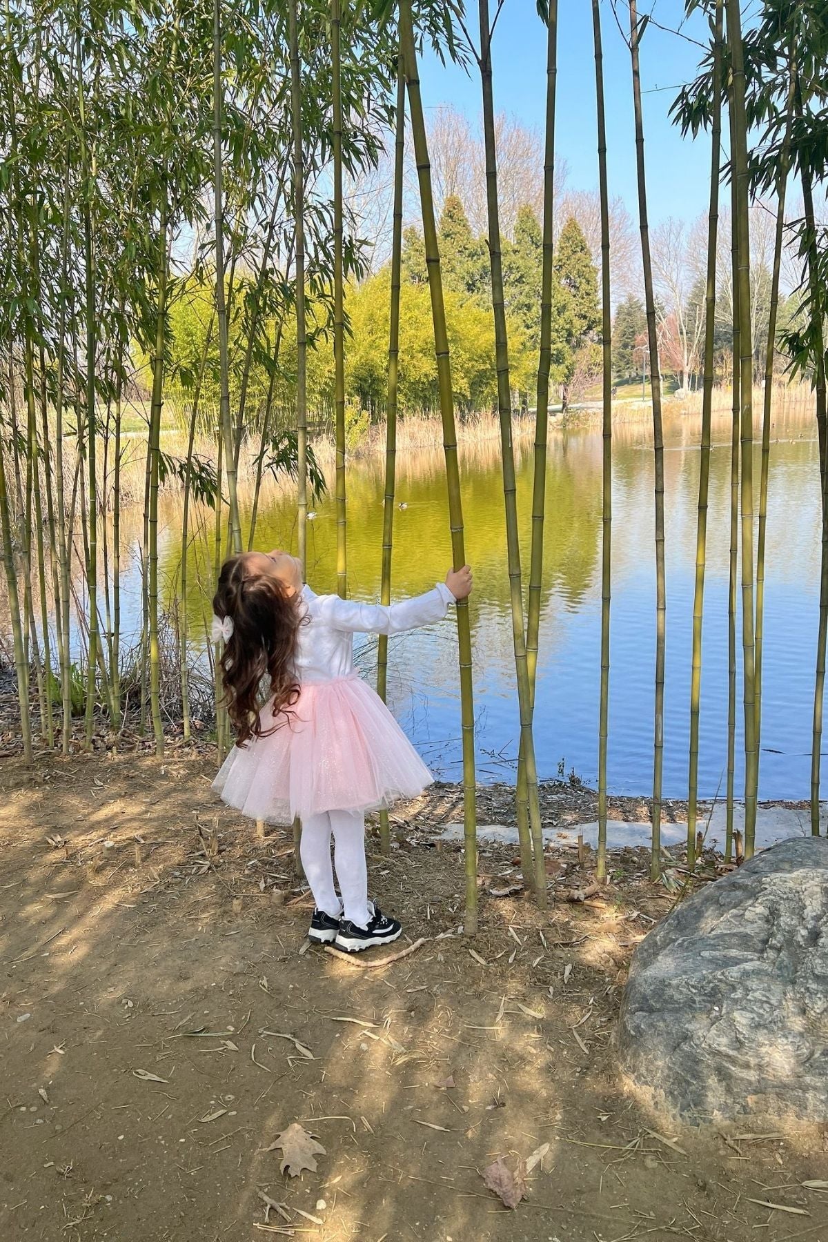 Toka Hediyeli Simli Tütü Etek // Pembe